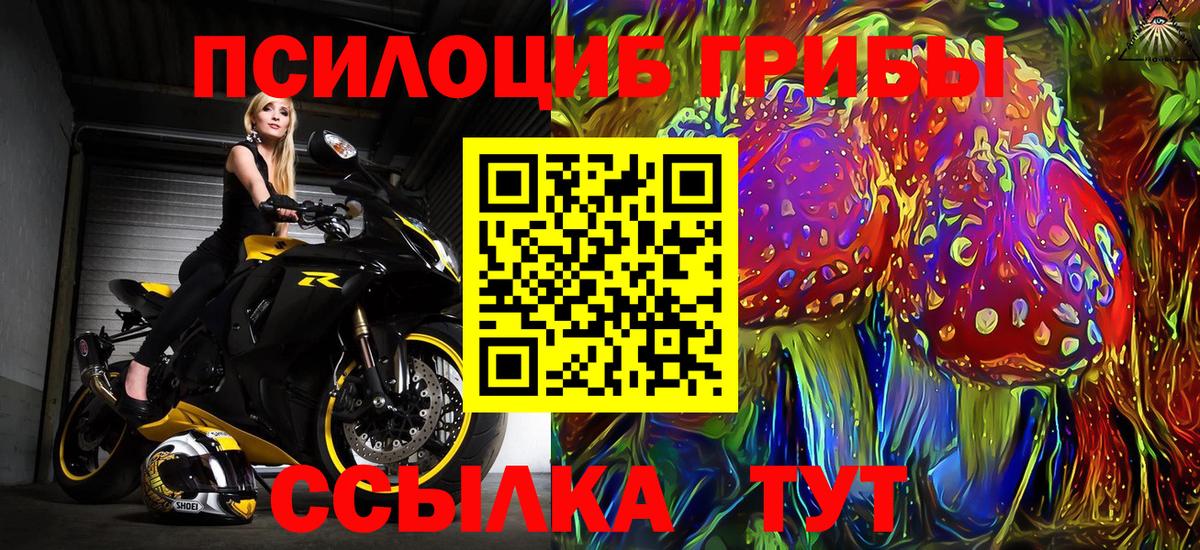 Галлюциногенные грибы Psilocybe  Вход с VPN  Верхняя Салда 